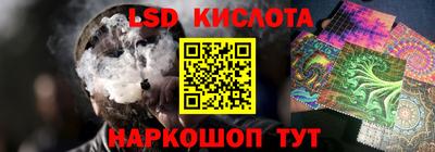 тгк Новозыбков