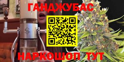 тгк Новозыбков