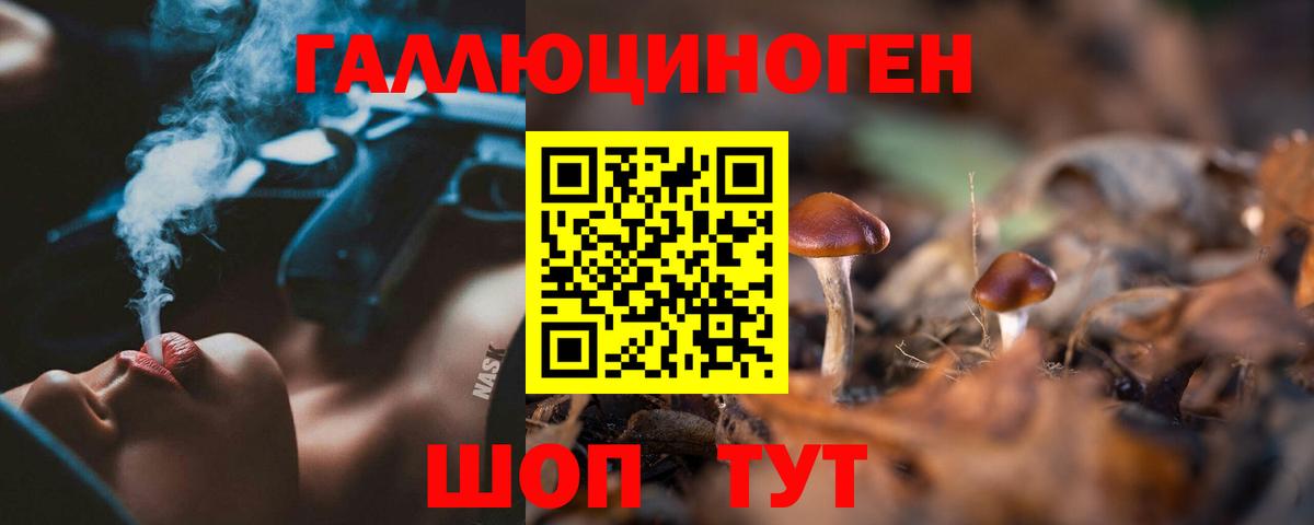 Галлюциногенные грибы Cubensis  Вход с VPN  Сертолово 